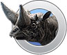 Arsinoitherium
