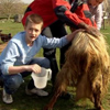 Milking goats at boot camp