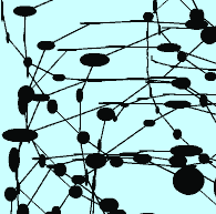 Load of Pollocks