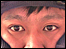 Jason Lau