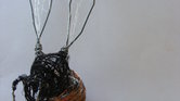 Wire wasp Wire wasp