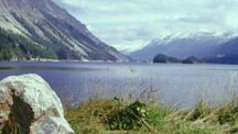 Typical Scandinavian landscape