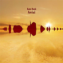 Review of Aerial