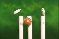 cricket