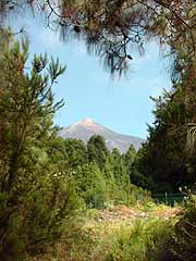 Tenerife