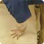 Cover with an old piece of carpet or tarpaulin