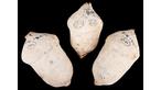 Roman lead sling-bolts