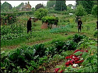 Allotment