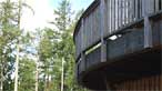 Coed y Brenin