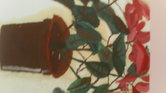 Flowers in a...