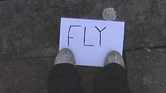 Fly Fly