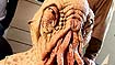 Making the Ood