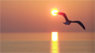 Sunset from Aberystwyth promenade by Alison Bryan