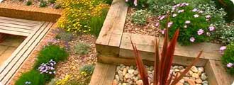 Planting tips for a terrace