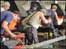 Farrier
