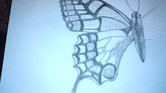 Swallowtail butterfly...