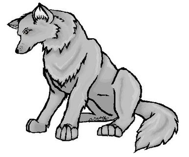 Wolf