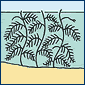 Oxygenating plants 