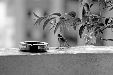 alone