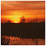 Heathland activities (Image: Peter  Roworth adn Natural England)