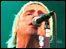 Paul Weller at Thetford Forest, Suffolk