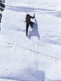 Vertical Limit