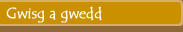 Gwisg a gwedd