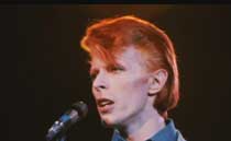 David Bowie