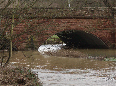 Rising waters