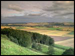Dunnichen Hill