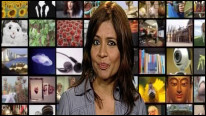 زرغونه کرگر