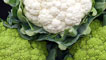Day 3 - A gold medal-winning trio of cauliflowers