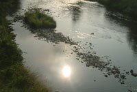 Afon Hafren