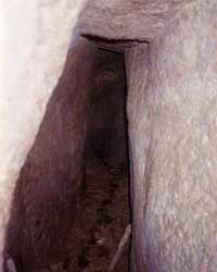 German mine