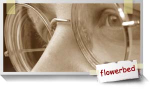 Flowerbed