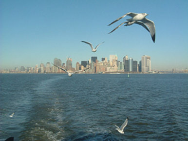 Manhattan Skyline
