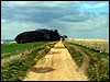 The Ridgeway