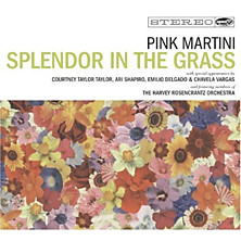 Review of Splendor in the Grass