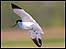 Activities (Image: Avocet)