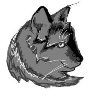 cat (msn)
