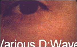 Various D Wave