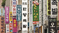 Useful facts about the Korean language in Korean