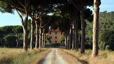 Accommodation