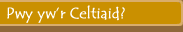 Tystiolaeth