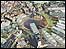 will alsop design for bradford
