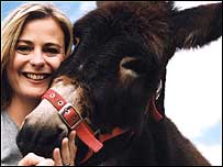 Donkey