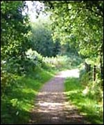 Forest of Dean