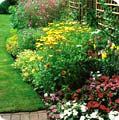 Assessing your plot