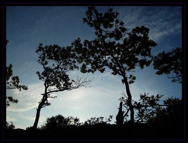 Reaching