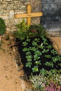 Grave planted with flowers